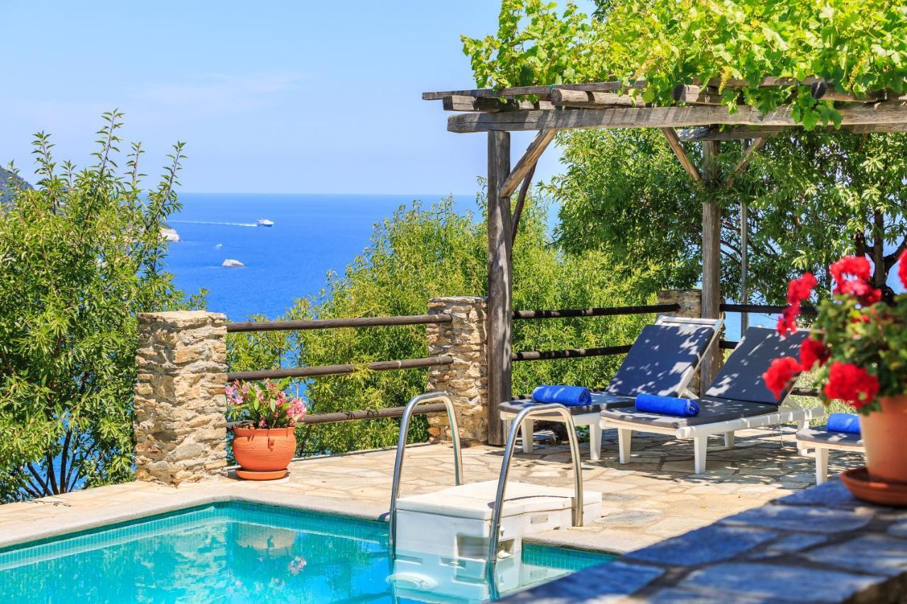 Villa Nina Skopelos- Private Pool - Magnificent Views Εξωτερικό φωτογραφία