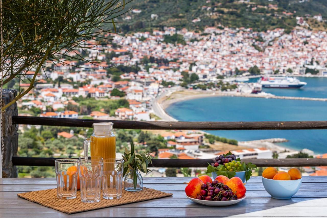 Villa Nina Skopelos- Private Pool - Magnificent Views Εξωτερικό φωτογραφία