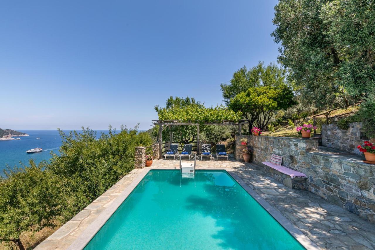 Villa Nina Skopelos- Private Pool - Magnificent Views Εξωτερικό φωτογραφία