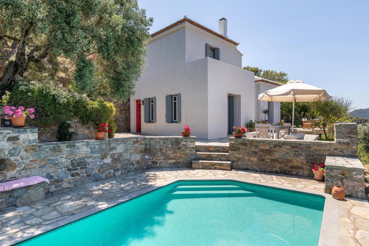 Villa Nina Skopelos- Private Pool - Magnificent Views Εξωτερικό φωτογραφία