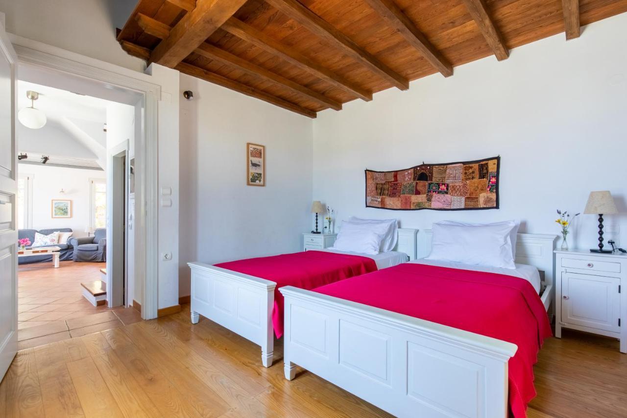 Villa Nina Skopelos- Private Pool - Magnificent Views Εξωτερικό φωτογραφία
